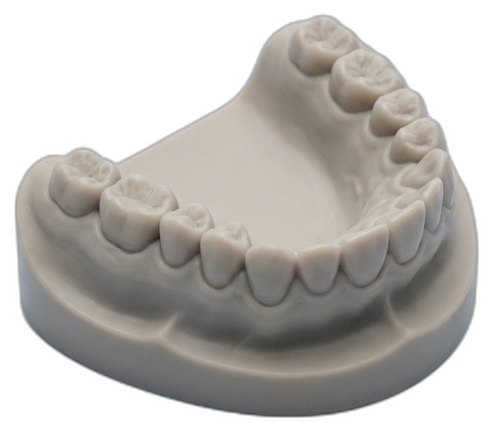 3D-printed dental models